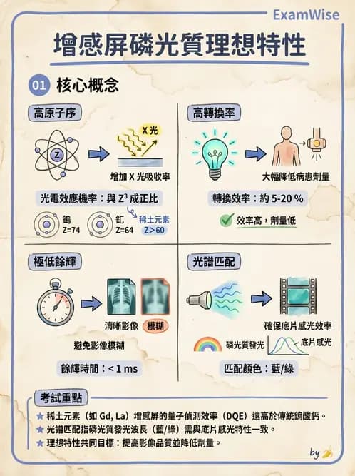 放射 - 影像接受器與乳房攝影 - AI 圖文解析預覽