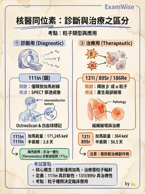 放射 - 核子醫學物理 - AI 圖文解析預覽