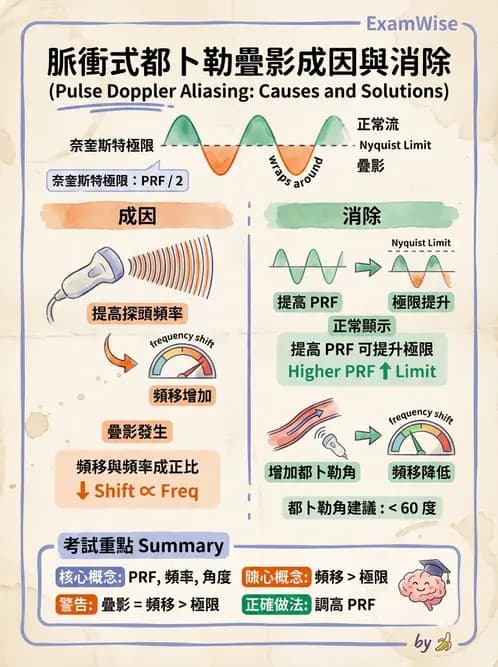放射 - 超音波成像與都卜勒 - AI 圖文解析預覽