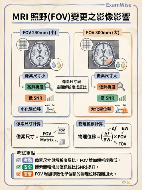 放射 - 空間編碼與影像品質 - AI 圖文解析預覽