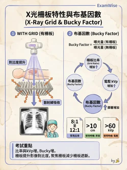 放射 - X光成像系統與影像品質 - AI 圖文解析預覽