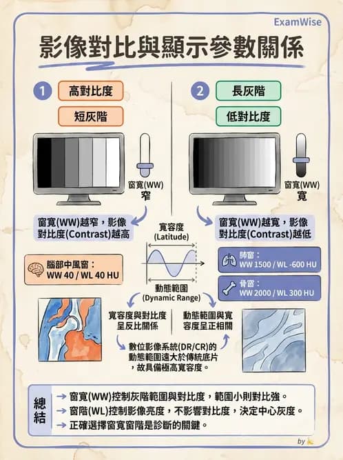 放射 - 數位放射攝影(DR)偵測器與影像品質 - AI 圖文解析預覽