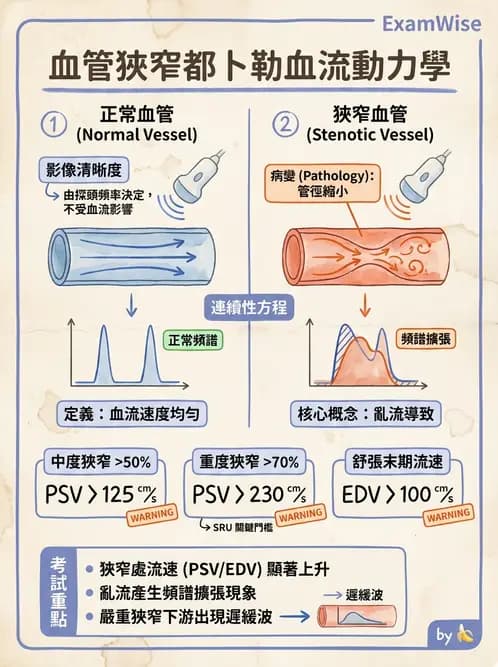 放射 - 都普勒超音波 - AI 圖文解析預覽
