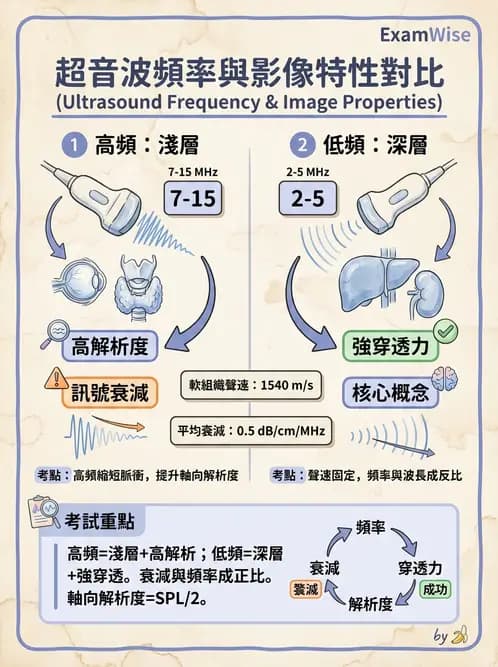 放射 - 超音波物理與系統原理 - AI 圖文解析預覽