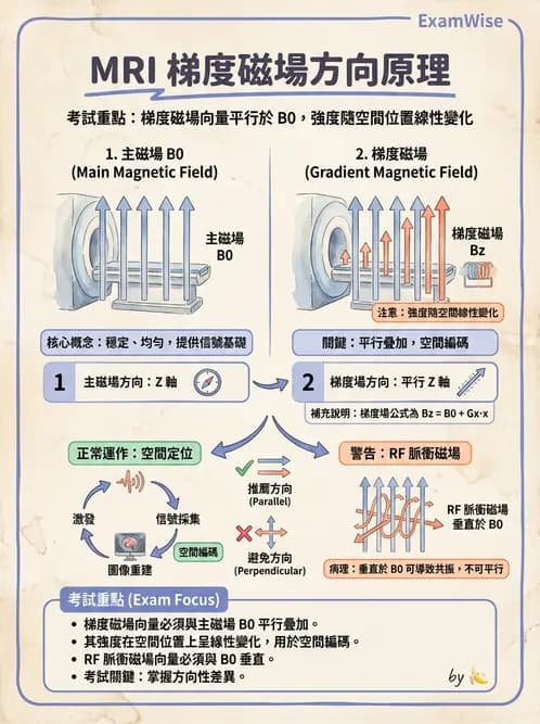 放射 - 梯度線圈與空間編碼 - AI 圖文解析預覽