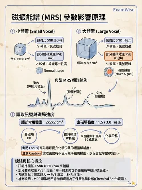 放射 - 梯度線圈與空間編碼 - AI 圖文解析預覽