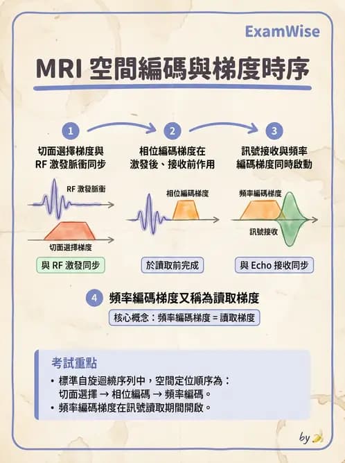 放射 - 射頻系統與線圈 - AI 圖文解析預覽