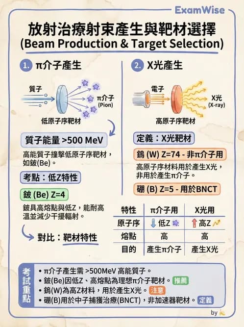 放射 - 質子及中子治療機 - AI 圖文解析預覽