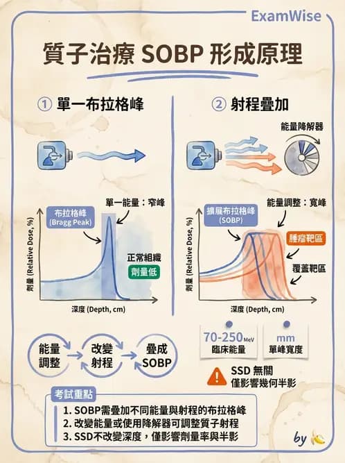 放射 - 質子及中子治療機 - AI 圖文解析預覽