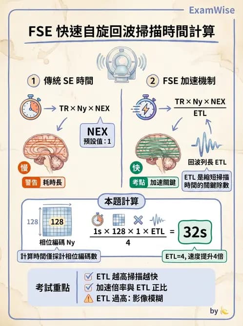 放射 - MRI脈衝序列與訊號技術 - AI 圖文解析預覽