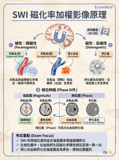 放射 - MR進階影像與臨床應用 - AI 圖文解析預覽