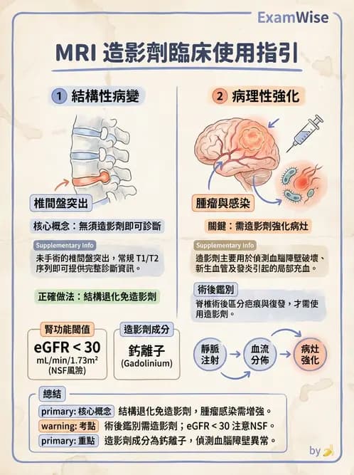 放射 - MR進階影像與臨床應用 - AI 圖文解析預覽