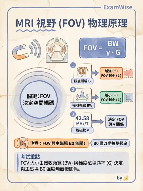 放射 - 磁振影像品質與參數 - AI 圖文解析預覽