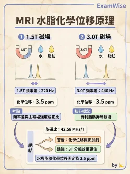 放射 - 磁振造影原理 - AI 圖文解析預覽