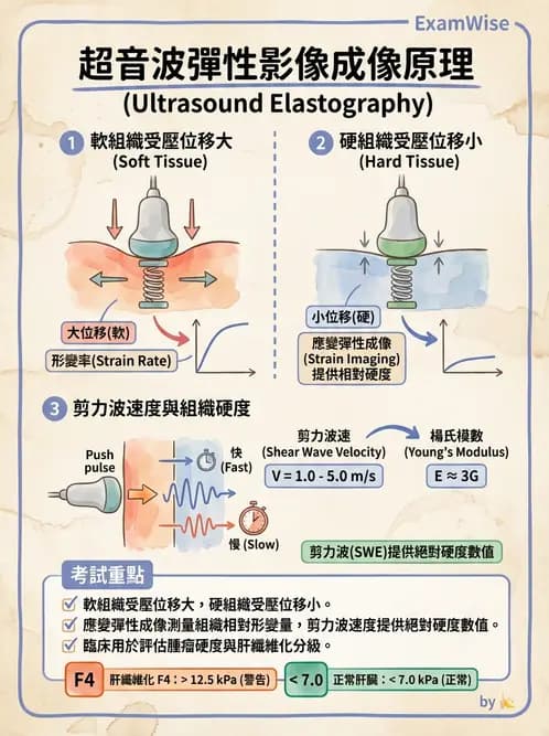 放射 - 超音波物理與技術 - AI 圖文解析預覽