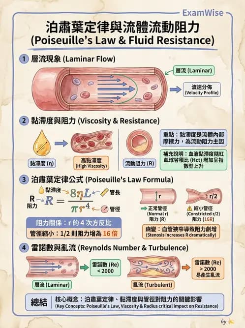 放射 - 超音波物理與技術 - AI 圖文解析預覽