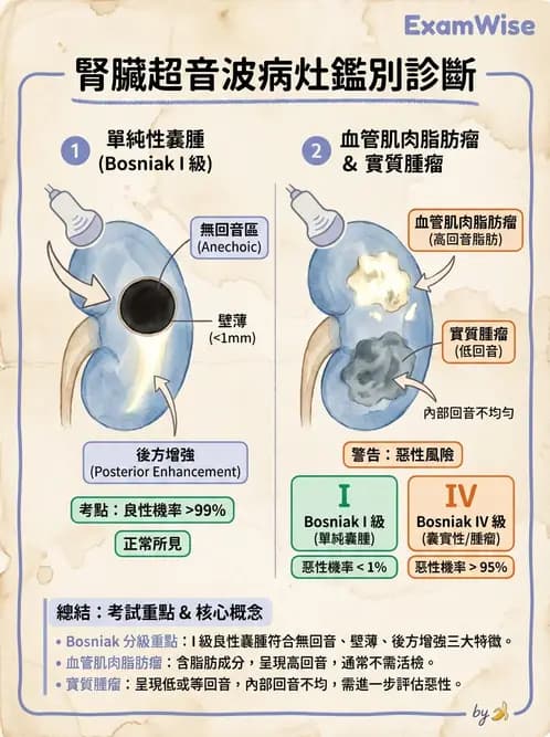 放射 - 腎臟血管與其他超音波 - AI 圖文解析預覽