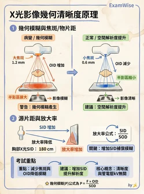 放射 - X光交互作用與影像品質 - AI 圖文解析預覽