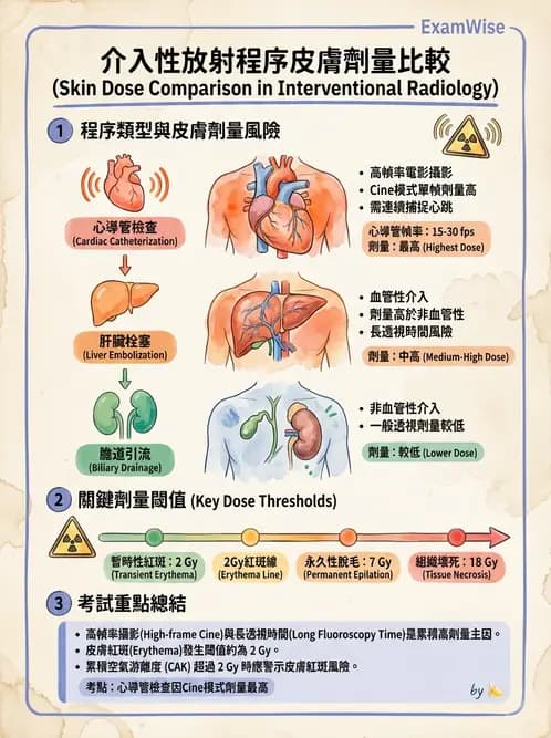 放射 - 血管攝影原理與解剖 - AI 圖文解析預覽