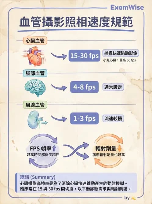 放射 - 血管攝影原理與解剖 - AI 圖文解析預覽