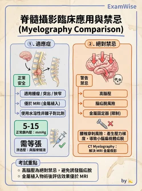 放射 - 乳房攝影與其他特殊檢查 - AI 圖文解析預覽