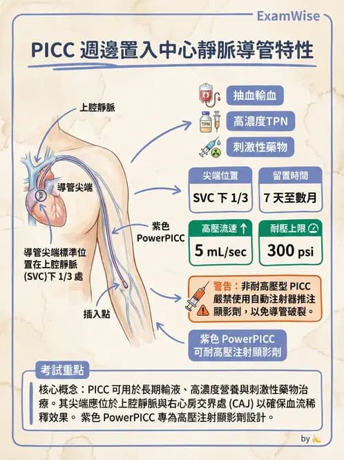 放射 - 導管技術與介入性治療 - AI 圖文解析預覽