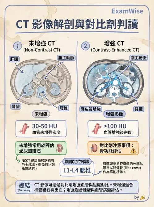 放射 - 胸腹部CT診斷 - AI 圖文解析預覽