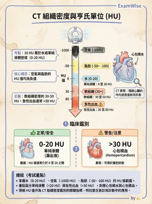 放射 - 胸腹部CT診斷 - AI 圖文解析預覽