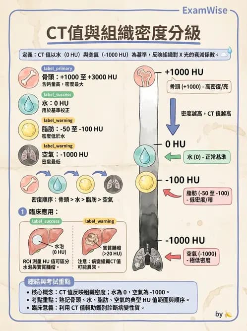 放射 - CT物理原理與掃描技術 - AI 圖文解析預覽