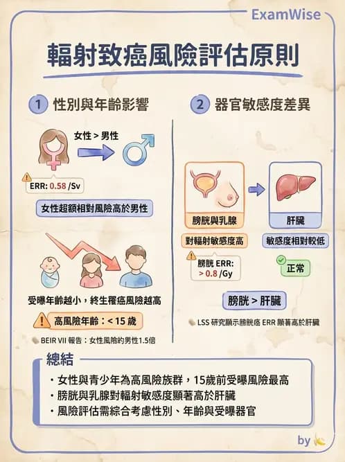 放射 - 輻射致癌與遺傳效應 - AI 圖文解析預覽