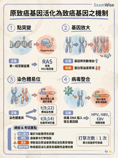 放射 - 輻射生物分子技術 - AI 圖文解析預覽