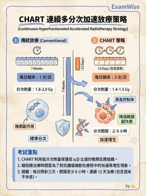 放射 - 時間劑量分次效應 - AI 圖文解析預覽