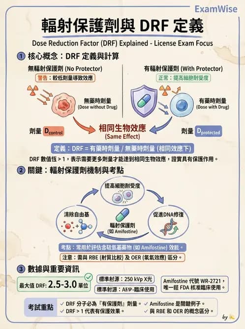 放射 - 輻射增敏與保護 - AI 圖文解析預覽