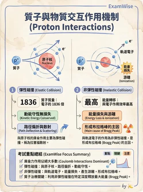 放射 - 質子與粒子治療 - AI 圖文解析預覽