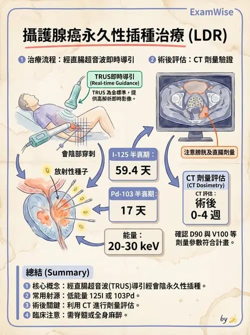 放射 - 插種近接治療 - AI 圖文解析預覽