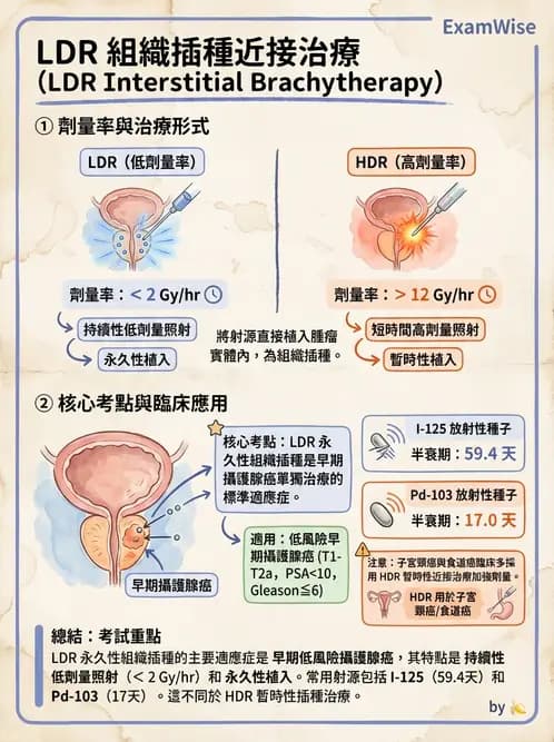 放射 - 插種近接治療 - AI 圖文解析預覽
