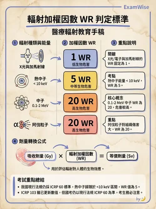 放射 - 放射治療輻射防護 - AI 圖文解析預覽