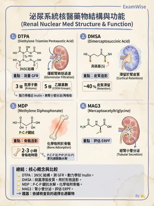 放射 - 腎臟造影SPECT藥物 - AI 圖文解析預覽