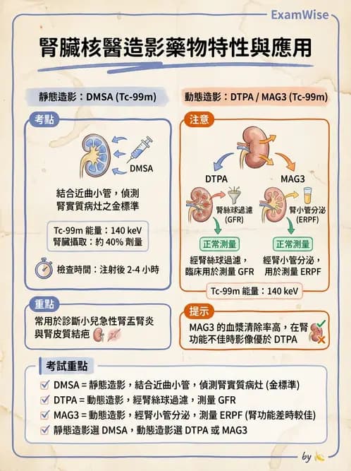 放射 - 腎臟造影 - AI 圖文解析預覽