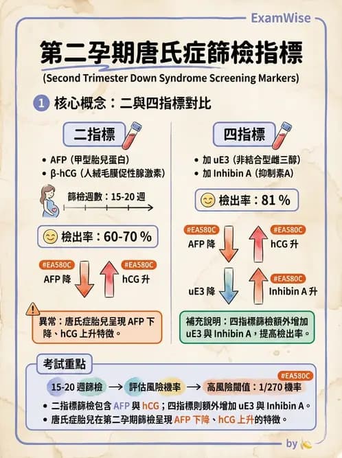 放射 - 免疫分析品管與臨床應用 - AI 圖文解析預覽