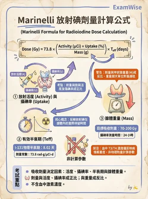 放射 - 非腫瘤治療 - AI 圖文解析預覽