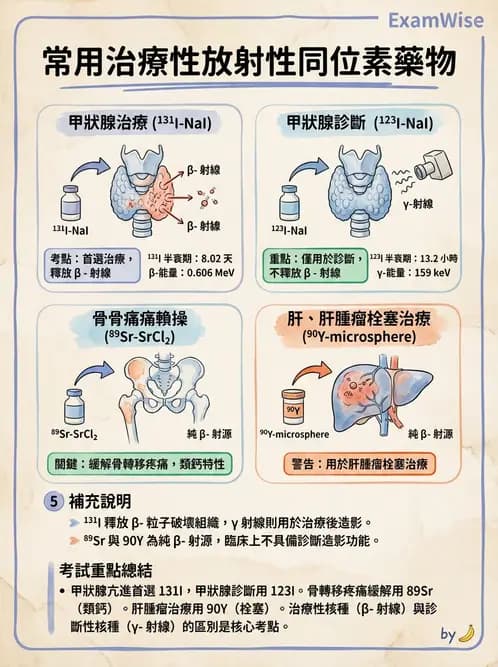 放射 - 非腫瘤治療 - AI 圖文解析預覽