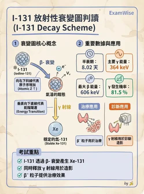 放射 - 蛻變類型與計算 - AI 圖文解析預覽