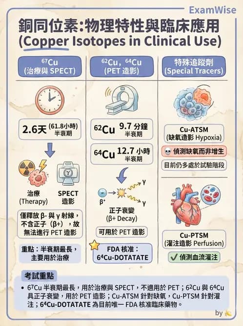 放射 - 蛻變類型與計算 - AI 圖文解析預覽