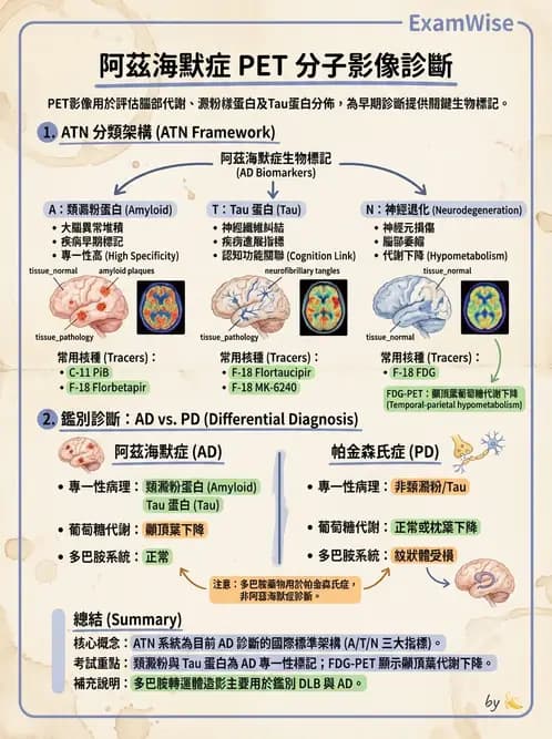 放射 - 腦神經PET藥物 - AI 圖文解析預覽