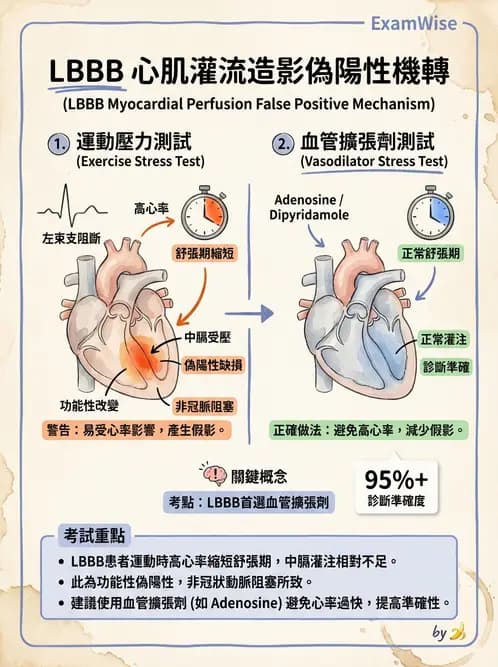 放射 - 心臟灌注造影 - AI 圖文解析預覽