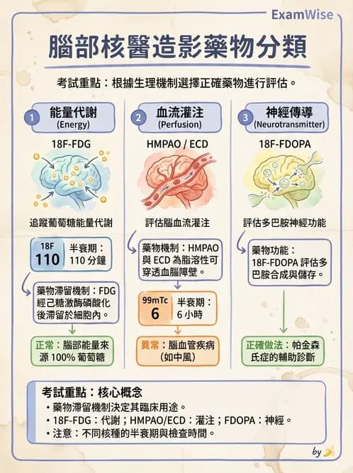 放射 - PET藥物基礎與心臟造影 - AI 圖文解析預覽