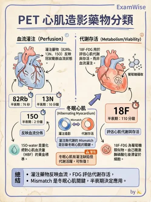 放射 - PET藥物基礎與心臟造影 - AI 圖文解析預覽