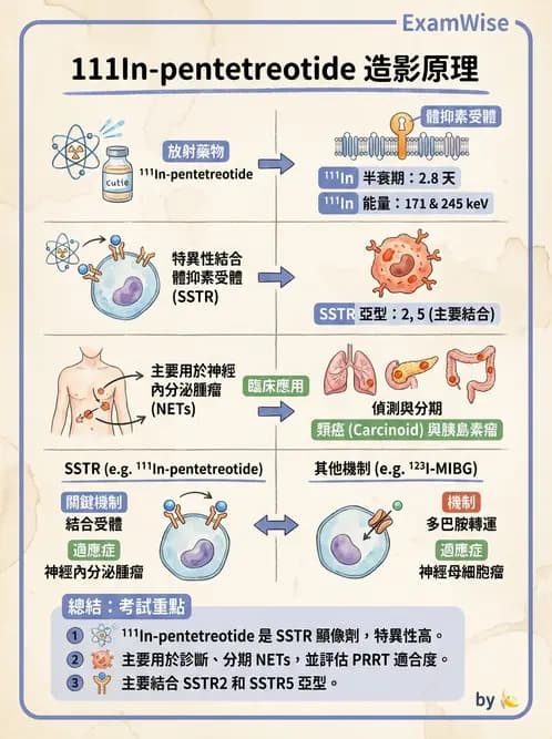 放射 - 腫瘤與內分泌造影SPECT藥物 - AI 圖文解析預覽