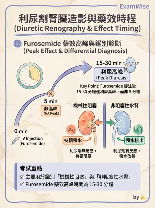放射 - 腎臟造影 - AI 圖文解析預覽